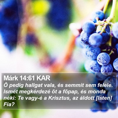 Márk 14:61 KAR Bible Verse Image