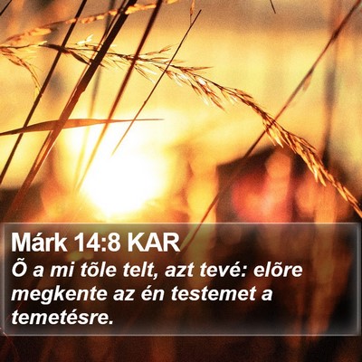 Márk 14:8 KAR Bible Verse Image