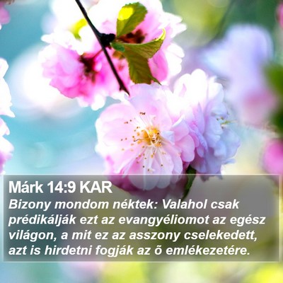 Márk 14:9 KAR Bible Verse Image