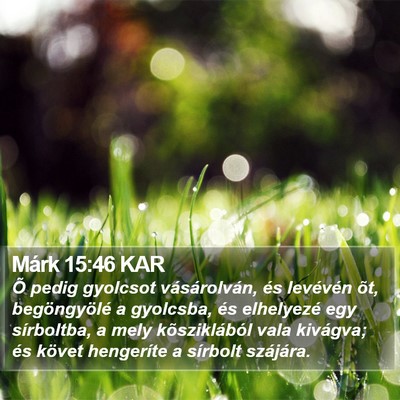 Márk 15:46 KAR Bible Verse Image