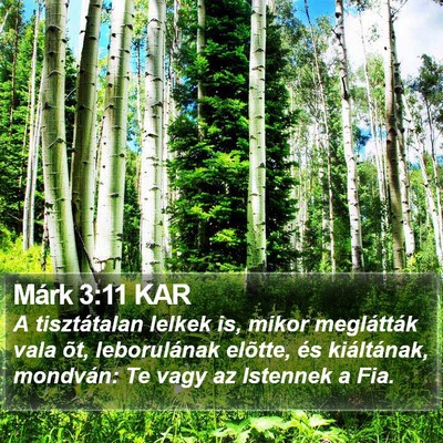Márk 3:11 KAR Bible Verse Image