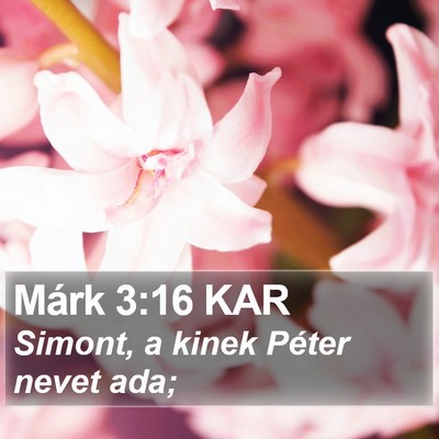 Márk 3:16 KAR Bible Verse Image