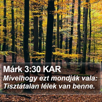 Márk 3:30 KAR Bible Verse Image