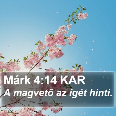 Márk 4:14 KAR Bible Verse Image