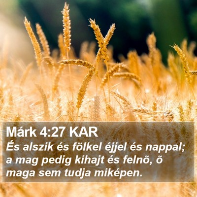 Márk 4:27 KAR Bible Verse Image