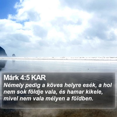 Márk 4:5 KAR Bible Verse Image