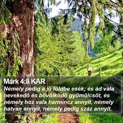 Márk 4:8 KAR Bible Verse Image