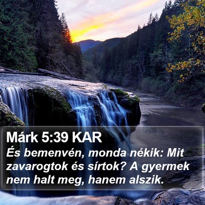 Márk 5:39 KAR Bible Verse Image