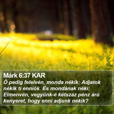 Márk 6:37 KAR Bible Verse Image