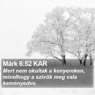 Márk 6:52 KAR Bible Verse Image
