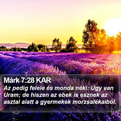 Márk 7:28 KAR Bible Verse Image
