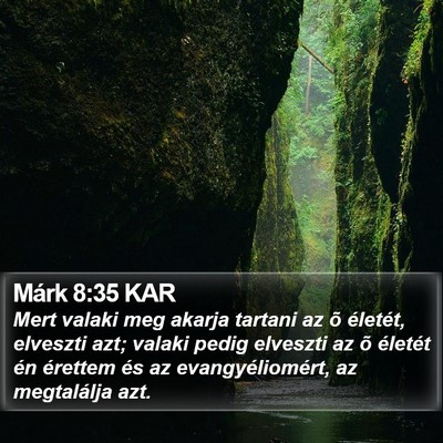 Márk 8:35 KAR Bible Verse Image