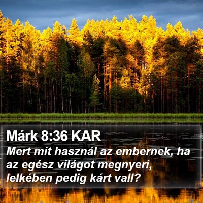 Márk 8:36 KAR Bible Verse Image