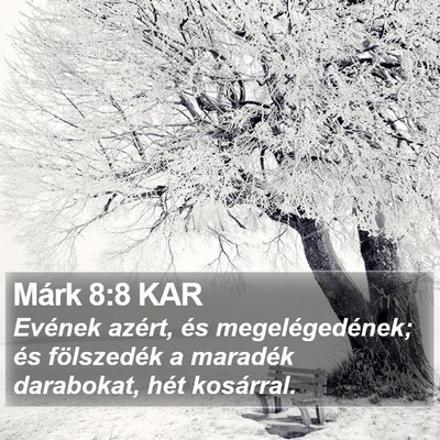 Márk 8:8 KAR Bible Verse Image