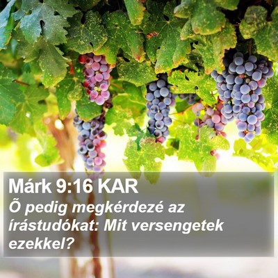 Márk 9:16 KAR Bible Verse Image