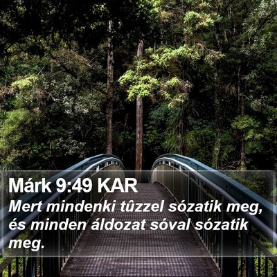 Márk 9:49 KAR Bible Verse Image