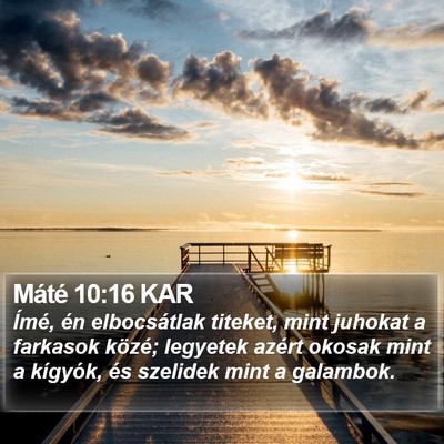 Máté 10:16 KAR Bible Verse Image