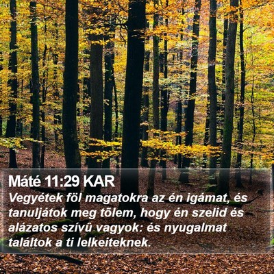 Máté 11:29 KAR Bible Verse Image