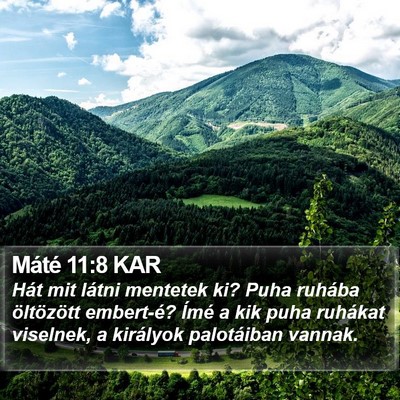 Máté 11:8 KAR Bible Verse Image