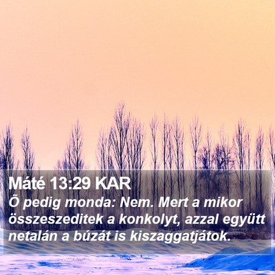 Máté 13:29 KAR Bible Verse Image
