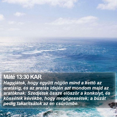 Máté 13:30 KAR Bible Verse Image