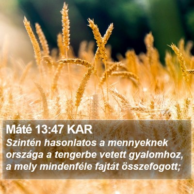 Máté 13:47 KAR Bible Verse Image