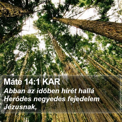 Máté 14:1 KAR Bible Verse Image