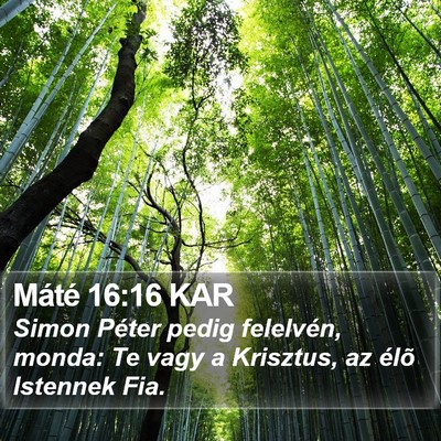 Máté 16:16 KAR Bible Verse Image