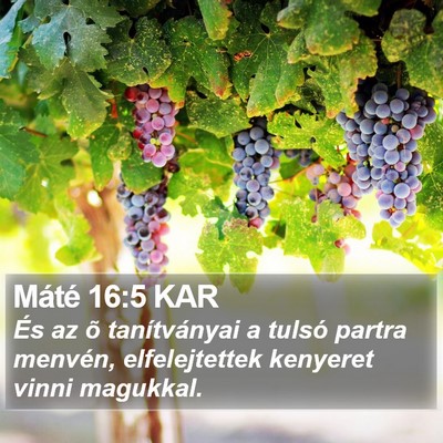 Máté 16:5 KAR Bible Verse Image