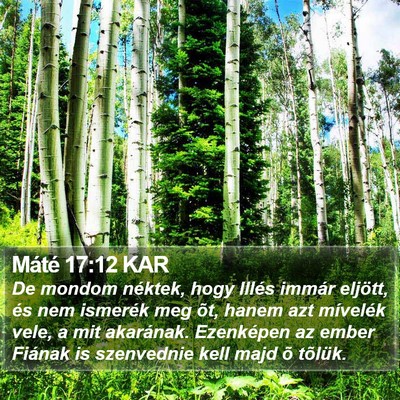 Máté 17:12 KAR Bible Verse Image