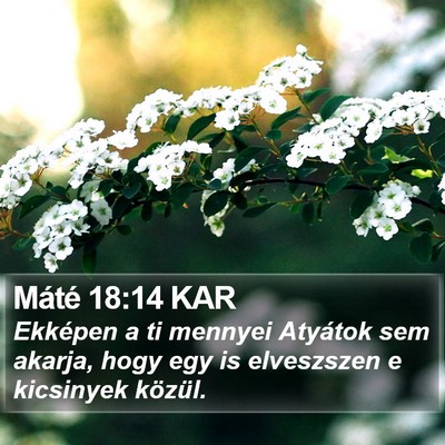 Máté 18:14 KAR Bible Verse Image