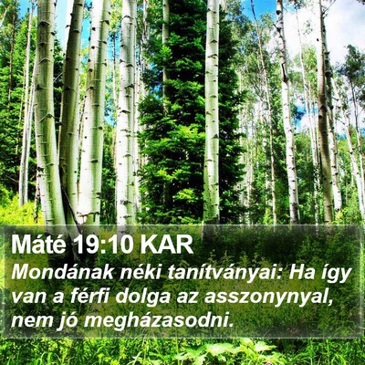 Máté 19:10 KAR Bible Verse Image