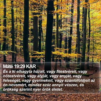 Máté 19:29 KAR Bible Verse Image