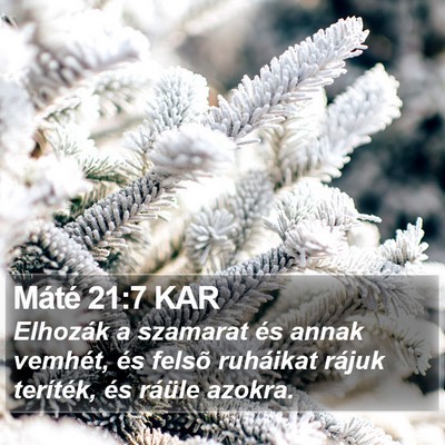 Máté 21:7 KAR Bible Verse Image