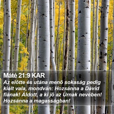 Máté 21:9 KAR Bible Verse Image