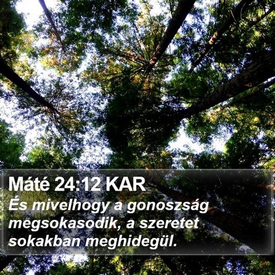 Máté 24:12 KAR Bible Verse Image