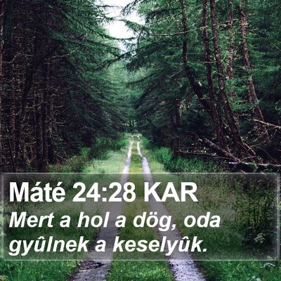 Máté 24:28 KAR Bible Verse Image