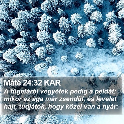 Máté 24:32 KAR Bible Verse Image