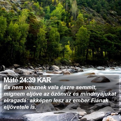 Máté 24:39 KAR Bible Verse Image