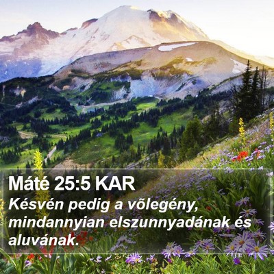 Máté 25:5 KAR Bible Verse Image