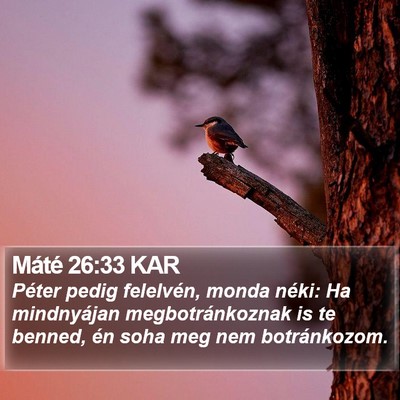 Máté 26:33 KAR Bible Verse Image