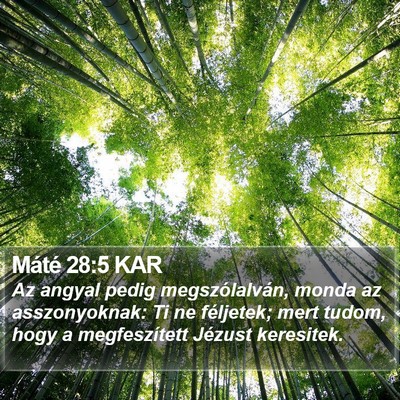Máté 28:5 KAR Bible Verse Image