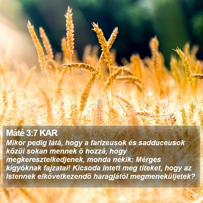 Máté 3:7 KAR Bible Verse Image