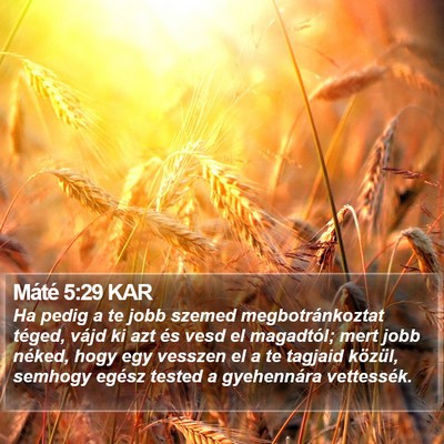 Máté 5:29 KAR Bible Verse Image