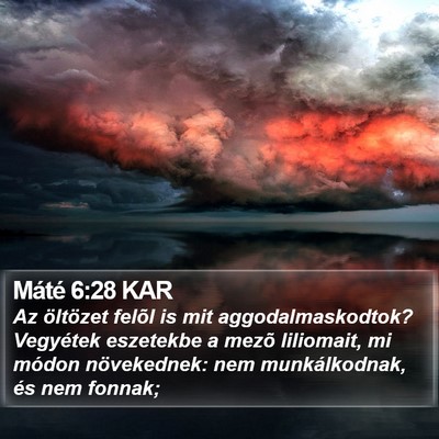 Máté 6:28 KAR Bible Verse Image