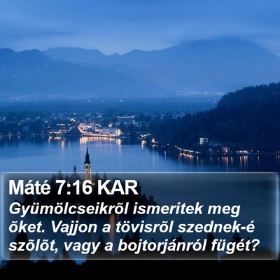 Máté 7:16 KAR Bible Verse Image