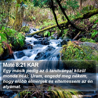Máté 8:21 KAR Bible Verse Image