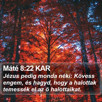 Máté 8:22 KAR Bible Verse Image