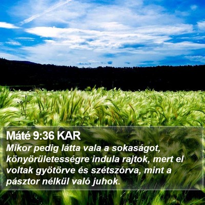 Máté 9:36 KAR Bible Verse Image