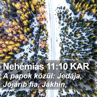 Nehémiás 11:10 KAR Bible Verse Image